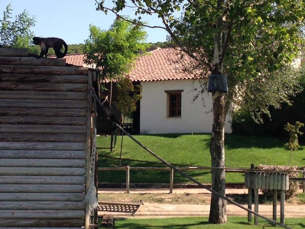 Apartamento Turistico Cigueena De Arguedas Bagian luar foto